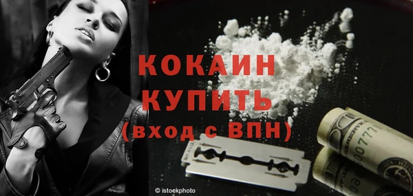 не бодяженный Алексин