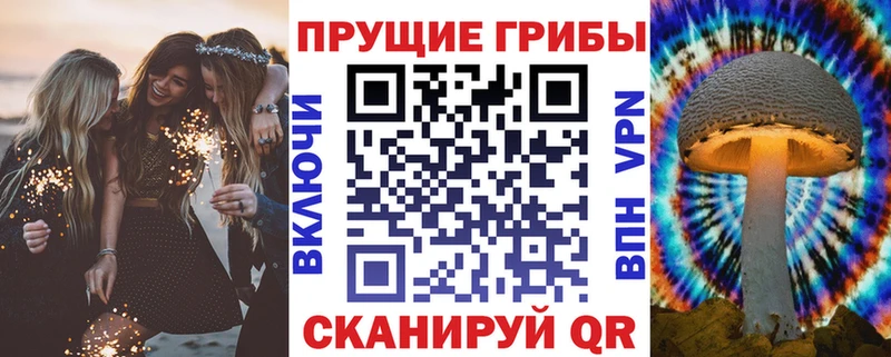Галлюциногенные грибы Cubensis  Медынь 